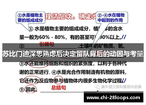 苏比门迪深思熟虑后决定留队背后的动因与考量 苏比门迪深思熟虑后决定留队背后的动因与考量