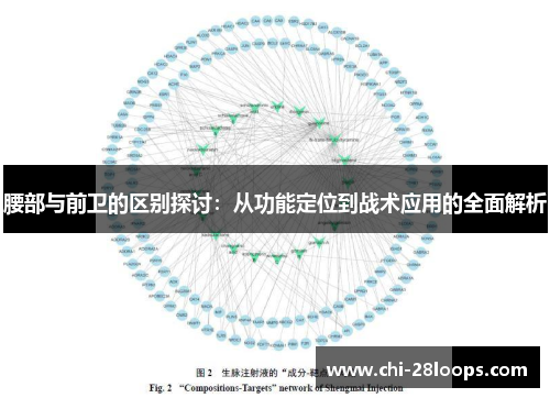 腰部与前卫的区别探讨：从功能定位到战术应用的全面解析