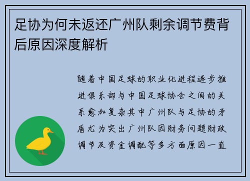 足协为何未返还广州队剩余调节费背后原因深度解析 足协为何未返还广州队剩余调节费背后原因深度解析